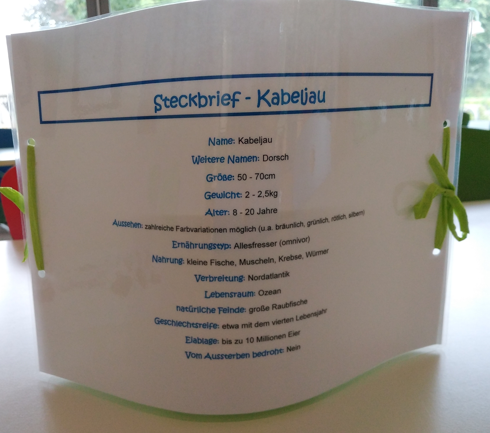 Bild der Galerie