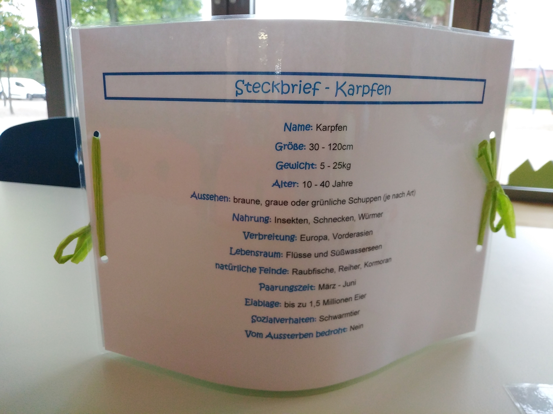 Bild der Galerie