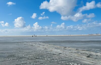 Foto des Albums: Altherren SPO 2024