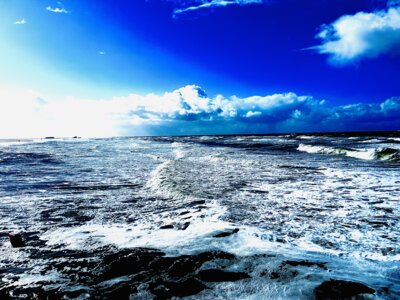 Foto des Albums: Altherren SPO 2024