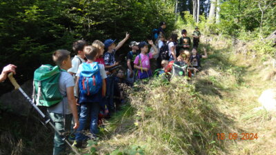 Foto des Albums: Klassenfahrt in das Schullandheim Sohland, Klasse 4b