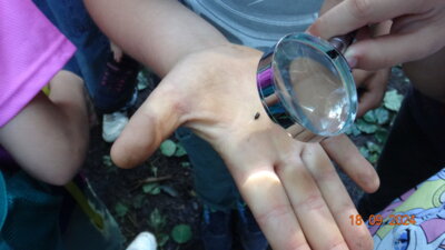 Foto des Albums: Klassenfahrt in das Schullandheim Sohland, Klasse 4b