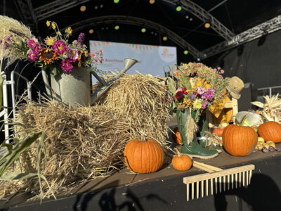Kreis-Erntefest in Peickwitz 2024 - B&uuml;hne - Foto Landkreis Sarah Werner  (Bild vergr&ouml;&szlig;ern)