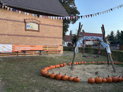 Kreis-Erntefest in Peickwitz 2024 - B&uuml;rgerhaus Erntekronenausstellung - Foto Landkreis Marlen Weser  (Bild vergr&ouml;&szlig;ern)