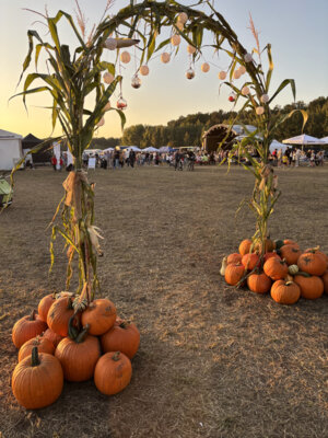 Kreis-Erntefest in Peickwitz 2024 - Einblick - Foto Landkreis Marlen Weser  (Bild vergr&ouml;&szlig;ern)