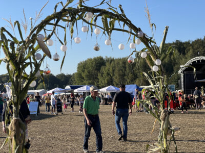Kreis-Erntefest in Peickwitz 2024 - Festgel&auml;nde (02) - Foto Landkreis Sarah Werner  (Bild vergr&ouml;&szlig;ern)