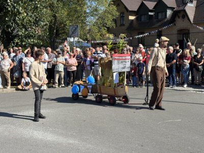 Kreis-Erntefest in Peickwitz 2024 - Festumzug - Tabakanbau 1946-47 in Peickwitz - Foto Landkreis Marlen Weser  (Bild vergr&ouml;&szlig;ern)