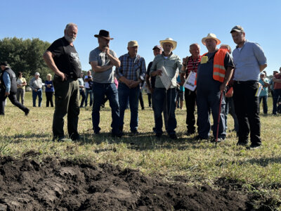 Kreis-Erntefest in Peickwitz 2024 - Promipfl&uuml;gen Bewertung - Foto Landkreis Nora Bielitz  (Bild vergr&ouml;&szlig;ern)