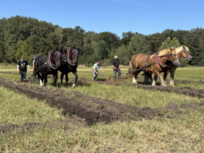 Kreis-Erntefest in Peickwitz 2024 - Promipfl&uuml;gen Jahn - Foto Landkreis Marlen Weser  (Bild vergr&ouml;&szlig;ern)