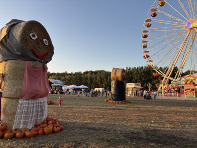 Kreis-Erntefest in Peickwitz 2024 - Strohpuppen + Riesenrad - Foto Landkreis Marlen Weser  (Bild vergr&ouml;&szlig;ern)
