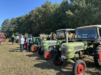 Kreis-Erntefest in Peickwitz 2024 - Traktortreffen - Foto Landkreis Nora Bielitz  (Bild vergr&ouml;&szlig;ern)