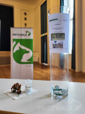 Foto des Albums: Tag der Abstimmung für den Bürgerhaushalt 2025 und Kinder-Familientag