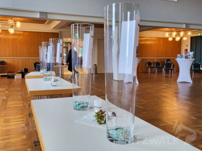 Foto des Albums: Tag der Abstimmung für den Bürgerhaushalt 2025 und Kinder-Familientag