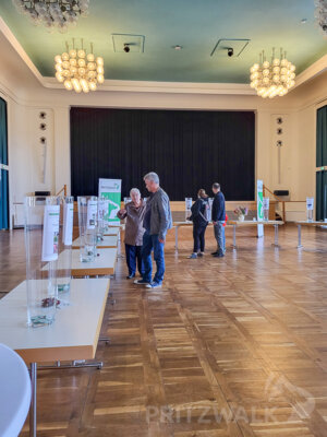 Foto des Albums: Tag der Abstimmung für den Bürgerhaushalt 2025 und Kinder-Familientag