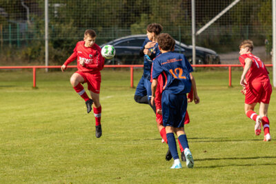 Foto des Albums: Heimspiel der B- Junioren gegen SpG BSC Fortuna Glienicke/SV Glienicke/SG Schildow