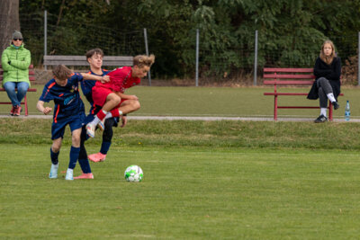 Foto des Albums: Heimspiel der B- Junioren gegen SpG BSC Fortuna Glienicke/SV Glienicke/SG Schildow