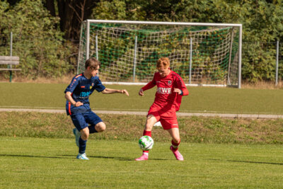 Foto des Albums: Heimspiel der B- Junioren gegen SpG BSC Fortuna Glienicke/SV Glienicke/SG Schildow
