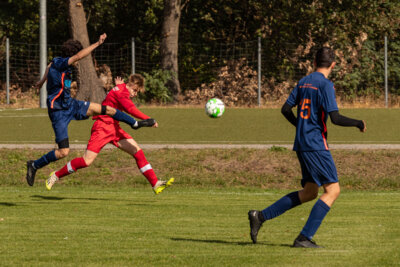 Foto des Albums: Heimspiel der B- Junioren gegen SpG BSC Fortuna Glienicke/SV Glienicke/SG Schildow