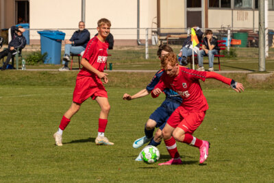 Foto des Albums: Heimspiel der B- Junioren gegen SpG BSC Fortuna Glienicke/SV Glienicke/SG Schildow