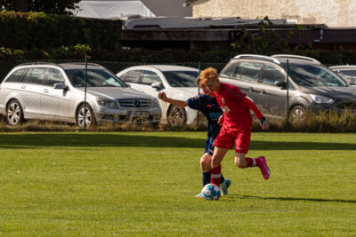 Foto des Albums: Heimspiel der B- Junioren gegen SpG BSC Fortuna Glienicke/SV Glienicke/SG Schildow