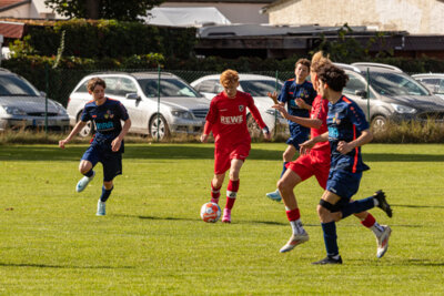 Foto des Albums: Heimspiel der B- Junioren gegen SpG BSC Fortuna Glienicke/SV Glienicke/SG Schildow