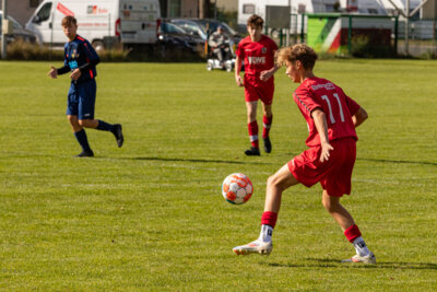 Foto des Albums: Heimspiel der B- Junioren gegen SpG BSC Fortuna Glienicke/SV Glienicke/SG Schildow