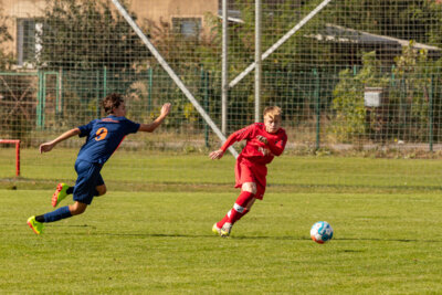Foto des Albums: Heimspiel der B- Junioren gegen SpG BSC Fortuna Glienicke/SV Glienicke/SG Schildow