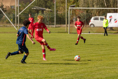 Foto des Albums: Heimspiel der B- Junioren gegen SpG BSC Fortuna Glienicke/SV Glienicke/SG Schildow
