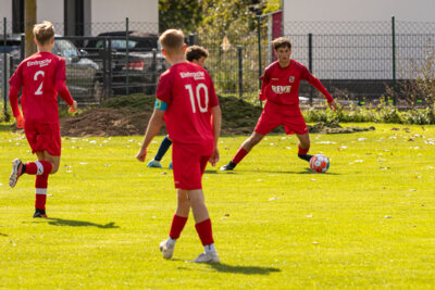 Foto des Albums: Heimspiel der B- Junioren gegen SpG BSC Fortuna Glienicke/SV Glienicke/SG Schildow