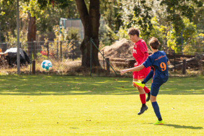 Foto des Albums: Heimspiel der B- Junioren gegen SpG BSC Fortuna Glienicke/SV Glienicke/SG Schildow