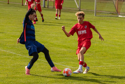 Foto des Albums: Heimspiel der B- Junioren gegen SpG BSC Fortuna Glienicke/SV Glienicke/SG Schildow