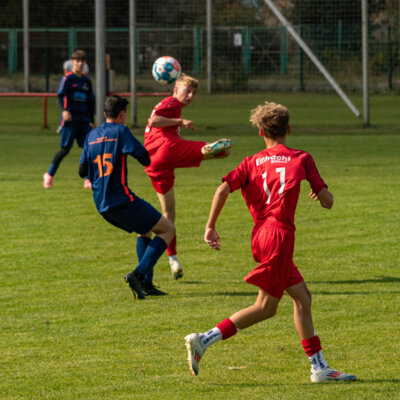Foto des Albums: Heimspiel der B- Junioren gegen SpG BSC Fortuna Glienicke/SV Glienicke/SG Schildow