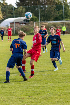 Foto des Albums: Heimspiel der B- Junioren gegen SpG BSC Fortuna Glienicke/SV Glienicke/SG Schildow