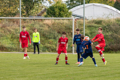 Foto des Albums: Heimspiel der B- Junioren gegen SpG BSC Fortuna Glienicke/SV Glienicke/SG Schildow