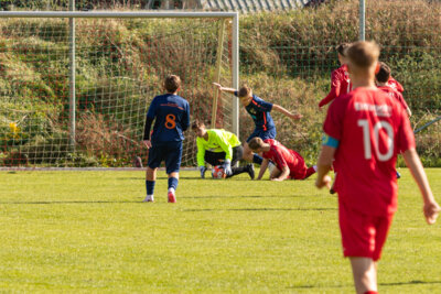 Foto des Albums: Heimspiel der B- Junioren gegen SpG BSC Fortuna Glienicke/SV Glienicke/SG Schildow