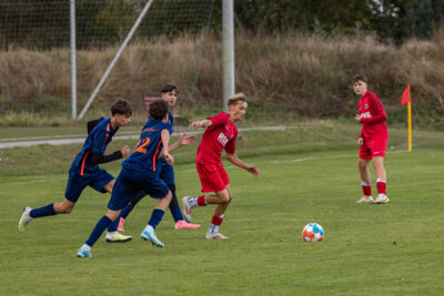Foto des Albums: Heimspiel der B- Junioren gegen SpG BSC Fortuna Glienicke/SV Glienicke/SG Schildow
