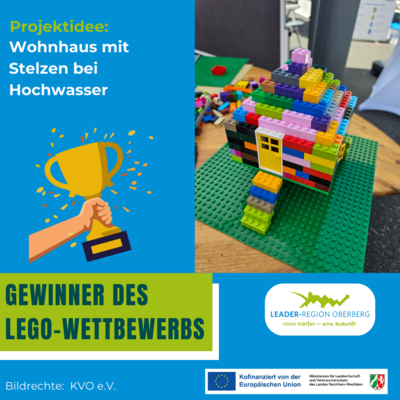 Foto des Albums: Drei Gewinner des LEGO-Bauwettbewerbes