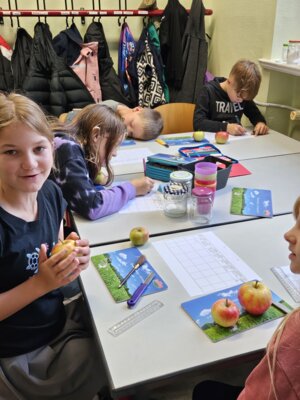 Foto des Albums: 2024 Wasserkreislauf