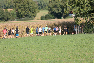 Foto des Albums: DJK-Lauf 2024