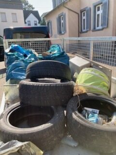 Foto des Albums: World Cleanup Day