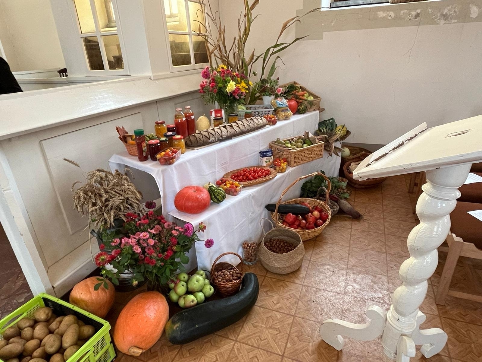 Bild der Galerie