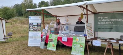 Foto des Albums: Erntedank 2024