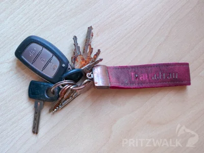 Schl&uuml;sselbund mit Autoschl&uuml;ssel, gefunden Anfang M&auml;rz 2026 zwischen Sarnow und Pritzwalk  (Bild vergr&ouml;&szlig;ern)