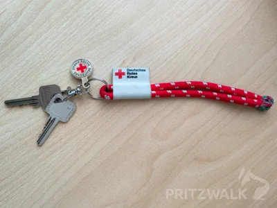 Schl&uuml;ssel gefunden am 27. Februar 2026 an der Volks- und Raiffeisenbank  (Bild vergr&ouml;&szlig;ern)