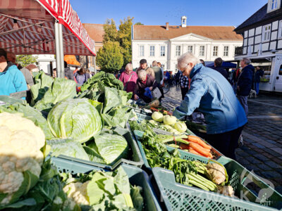 Foto des Albums: Herbst- und Kürbismarkt