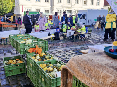 Foto des Albums: Herbst- und Kürbismarkt