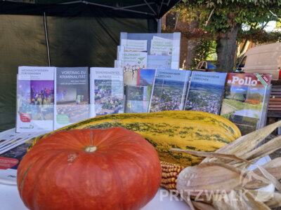 Foto des Albums: Herbst- und Kürbismarkt