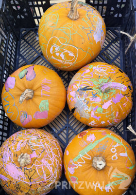 Foto des Albums: Herbst- und Kürbismarkt