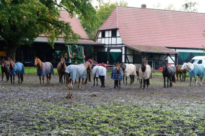 Gut D&uuml;endorf  (Bild vergr&ouml;&szlig;ern)