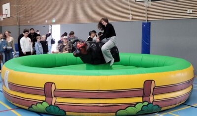 Bullriding  (Bild vergr&ouml;&szlig;ern)